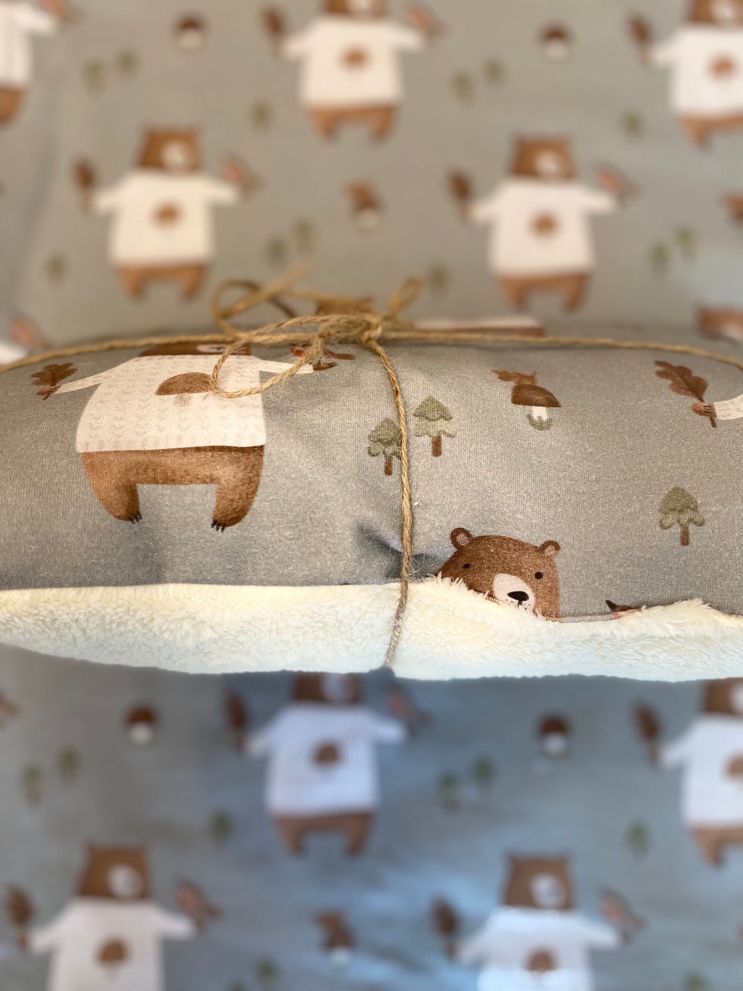 Baby blanket and cuddly pillow bears 🐻